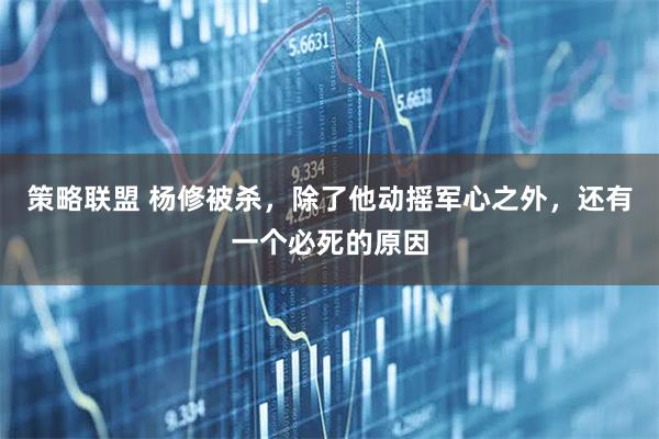策略联盟 杨修被杀，除了他动摇军心之外，还有一个必死的原因