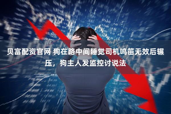 贝富配资官网 狗在路中间睡觉司机鸣笛无效后辗压，狗主人发监控讨说法