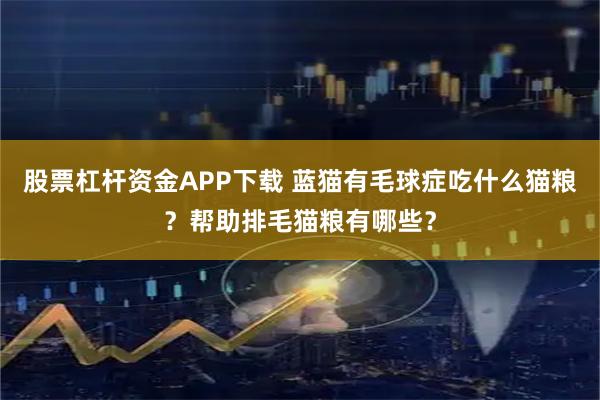 股票杠杆资金APP下载 蓝猫有毛球症吃什么猫粮？帮助排毛猫粮有哪些？